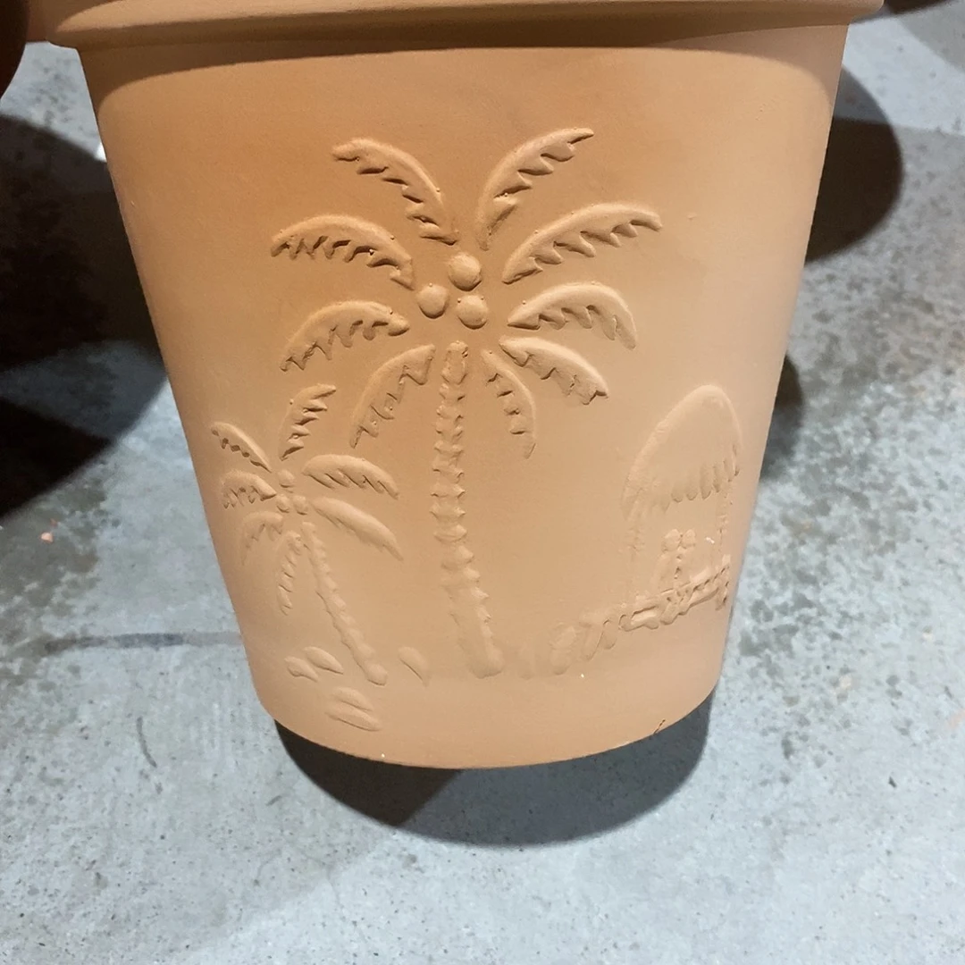 微瑕椰树20×19-1