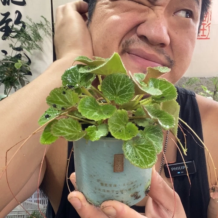 咔****以实际为准退款拉黑拉黑110