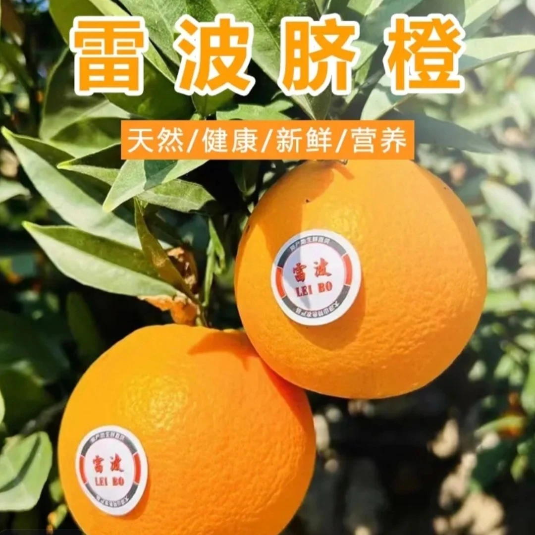 雷波脐橙新鲜水果现摘现发产地直发孕妇可吃甜橙子皮薄多汁
