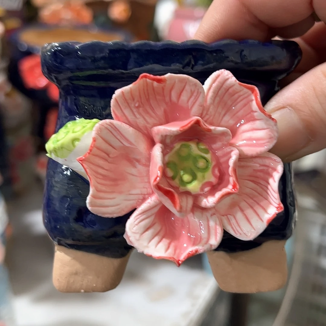 【闪购商品】红陶福利