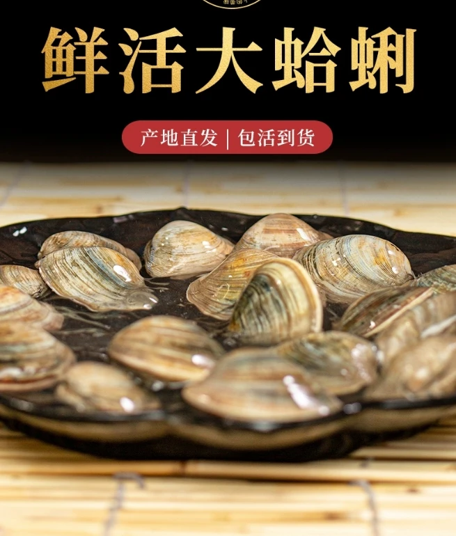 文蛤（煲汤首选）500g