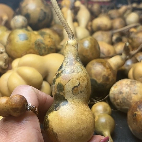 琼*葫芦葫芦葫芦葫芦