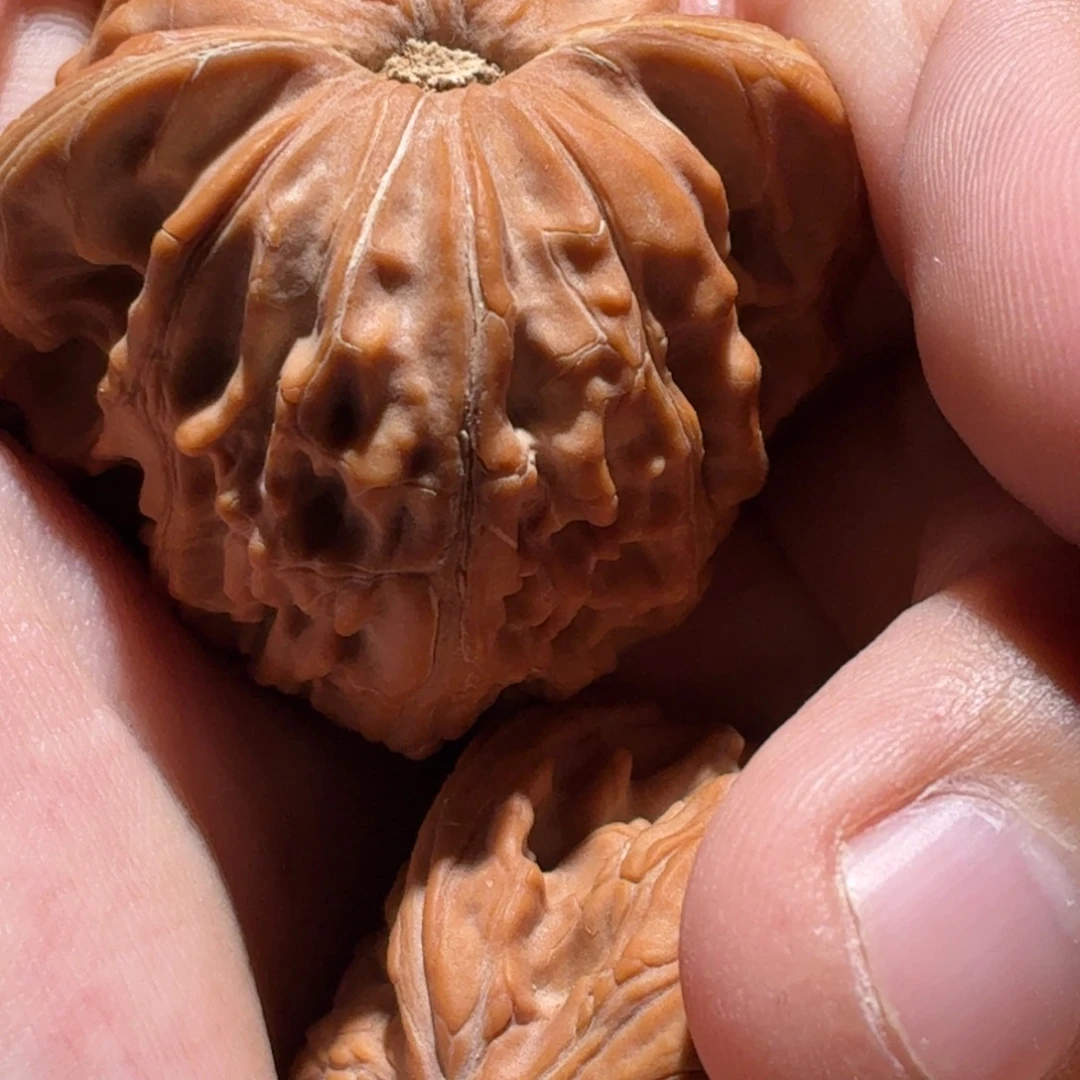 我***了猴头核桃吊坠568635898