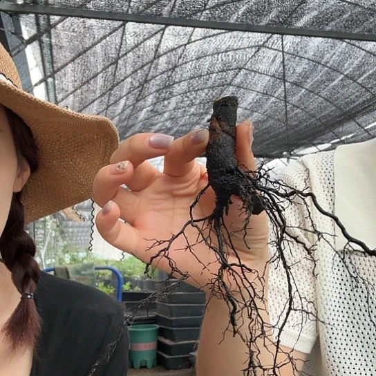 康*宇宙之辉哈哈哈哈