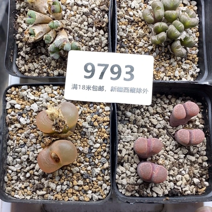 9793。