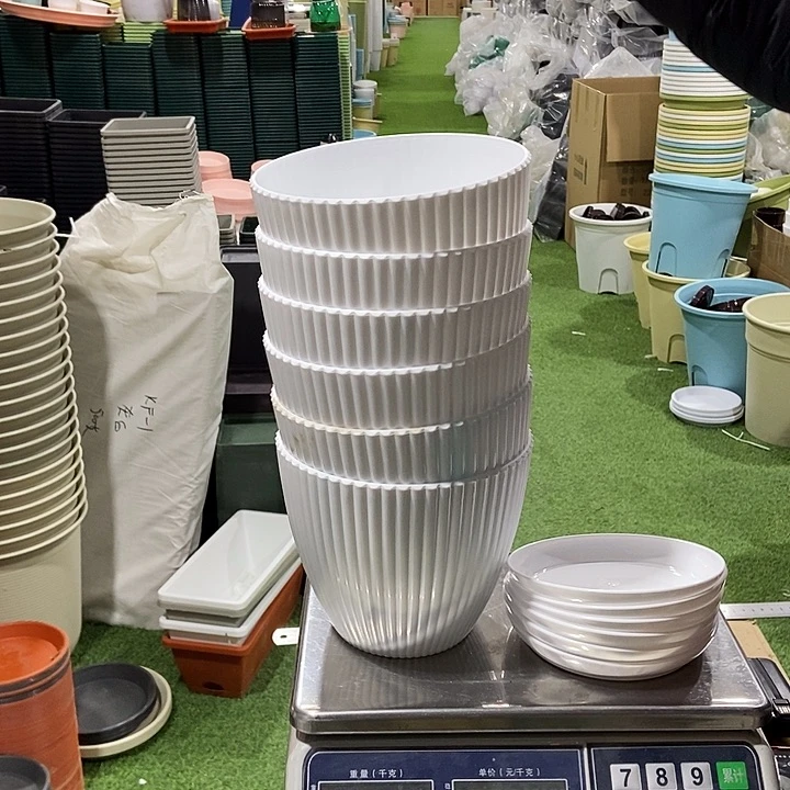 竖条纹口19高16白色6个带拖