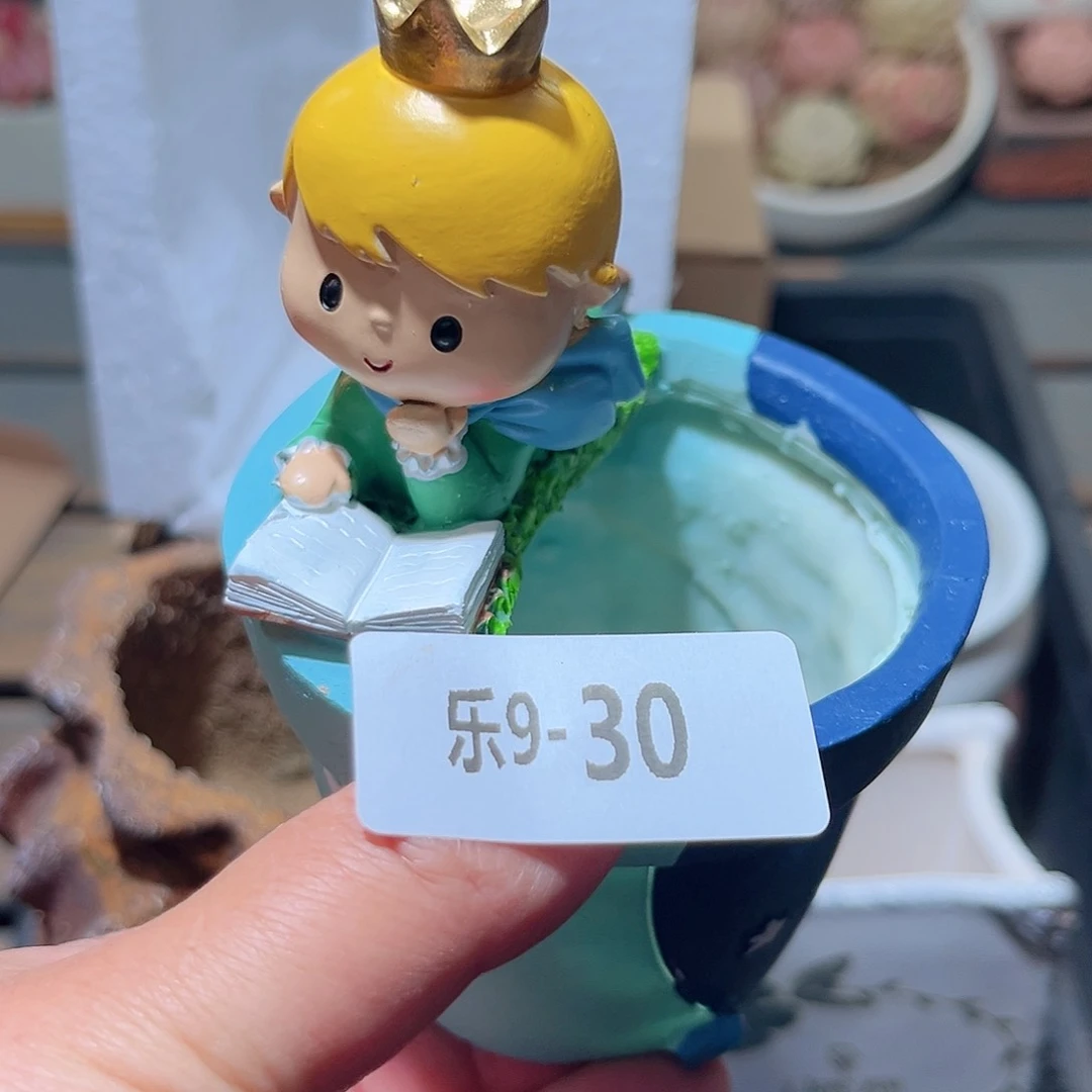 乐9-30 小王子盆