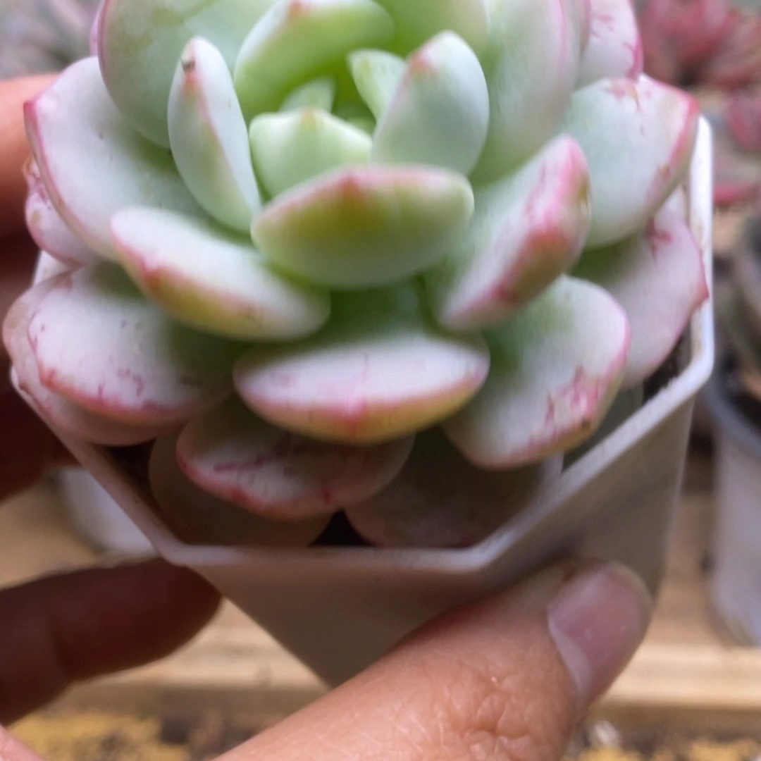 591啦啦啦啦啦啦啦啦啦啦啦啦