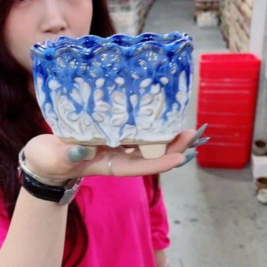 花盆凑单福利满10元发货！