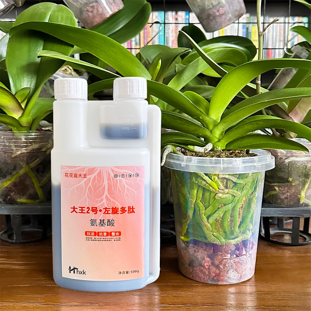 花花喜大王左旋多肽氨基酸蝴蝶兰绿植花卉抗逆抗害螯合壮根营养剂