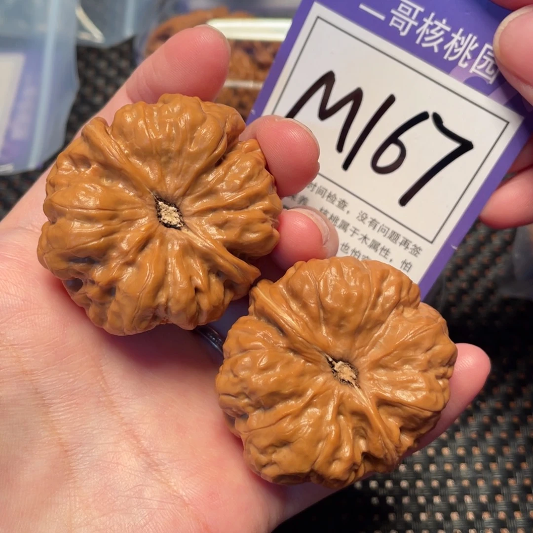 桃核把件M167号蛤蟆42