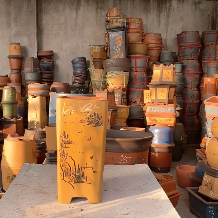 紫砂花盆盆栽花卉苗木种植