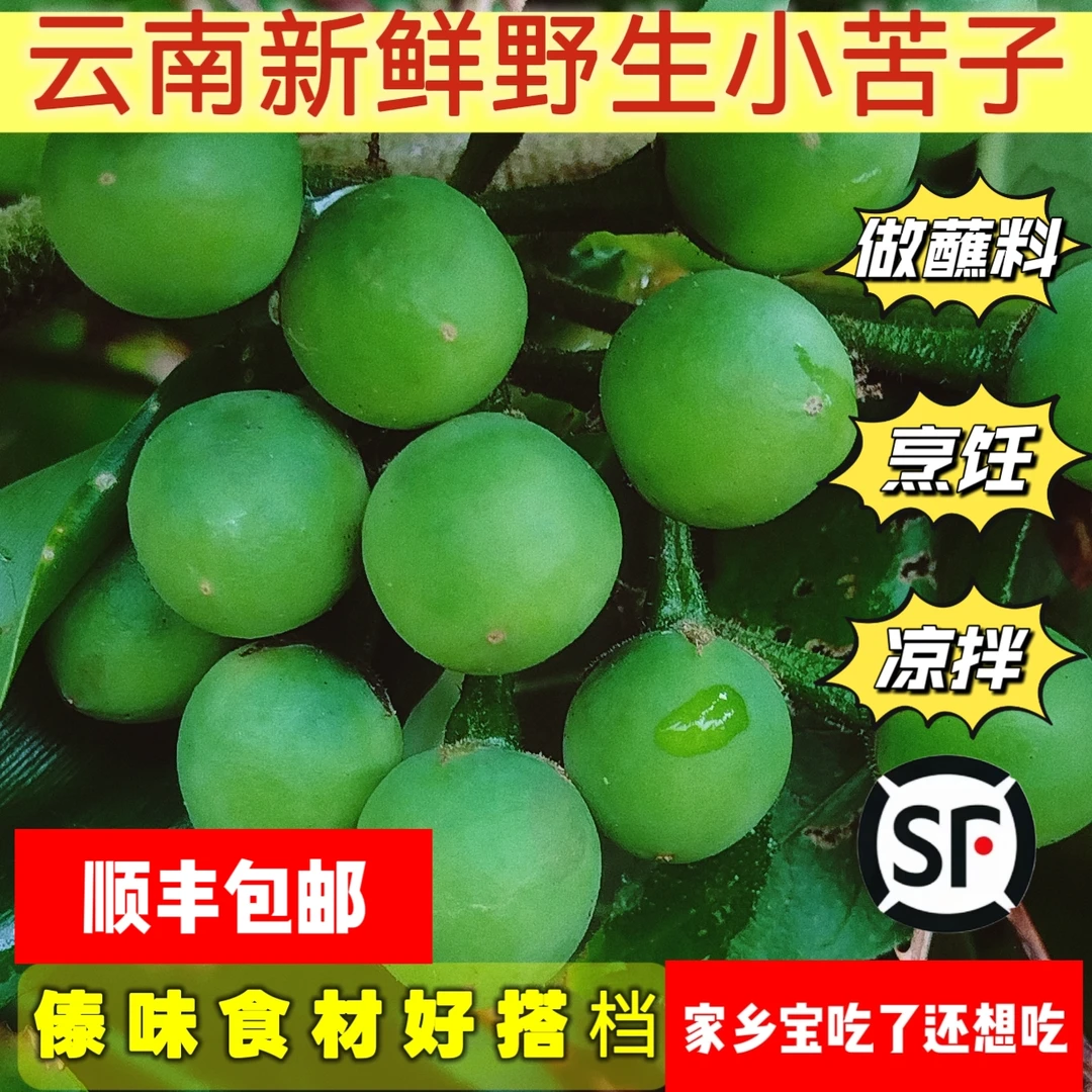 云南新鲜野生小苦子果清新微苦