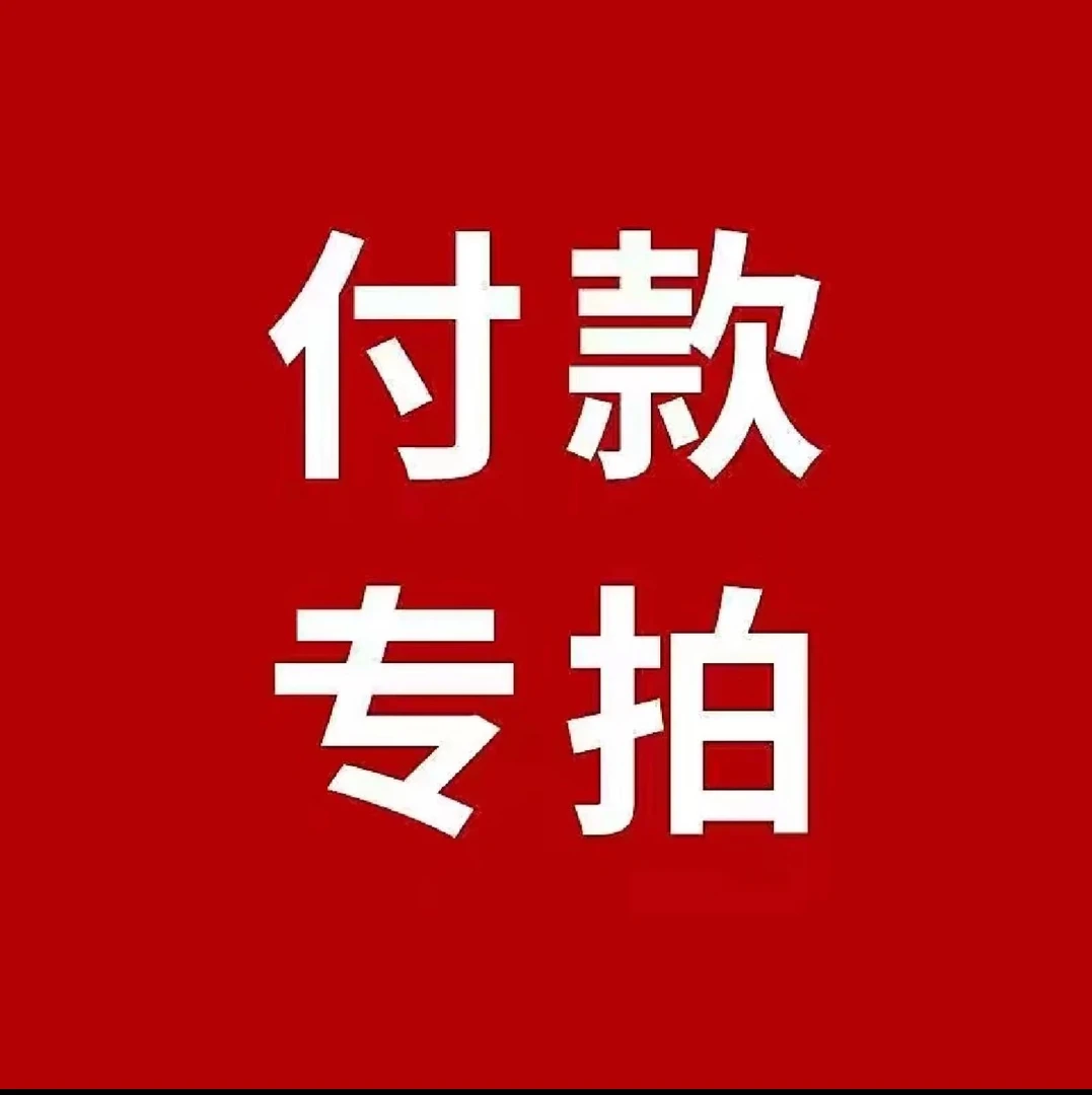 付款专拍链接手持