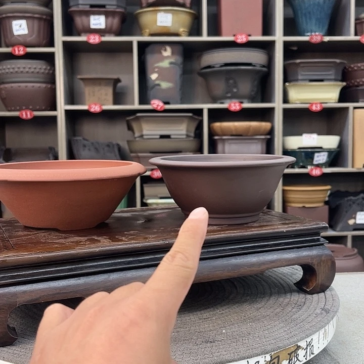 紫砂花盆这个月我不