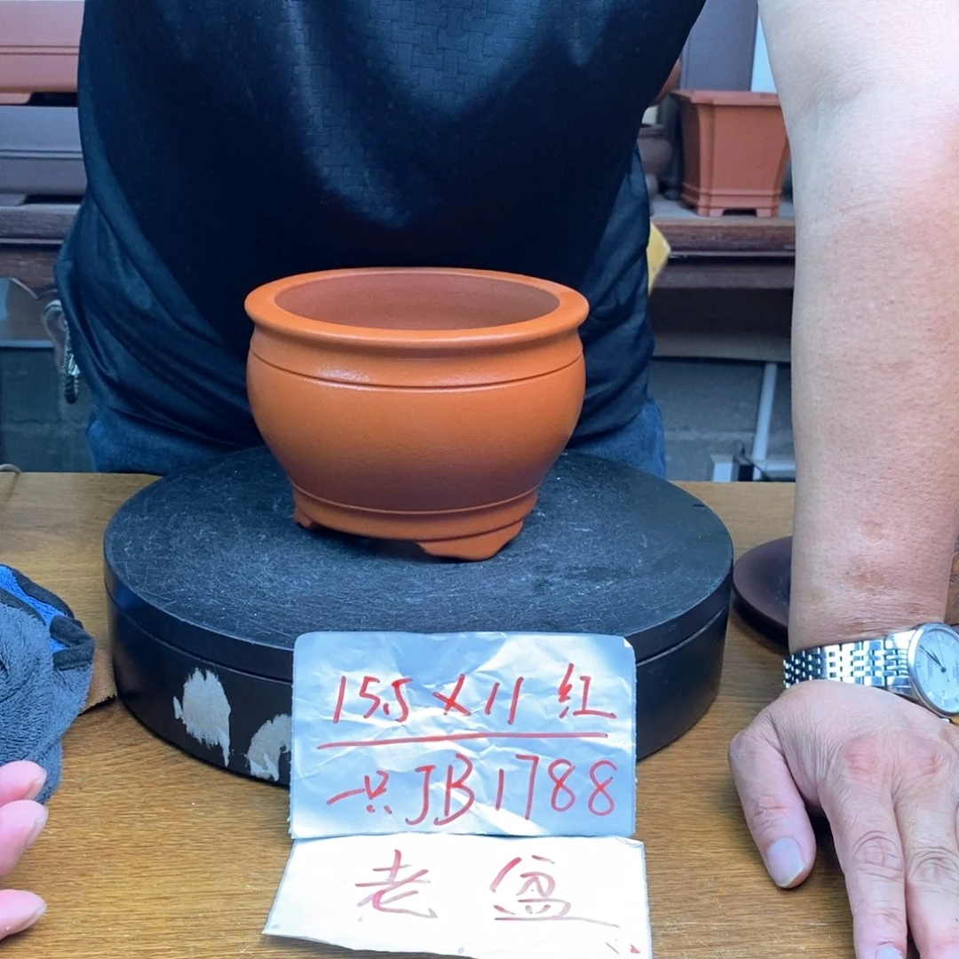 紫砂货号一只JB1788
