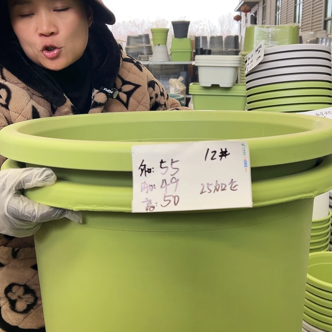 瑕疵四季盆12#果绿色2个无托