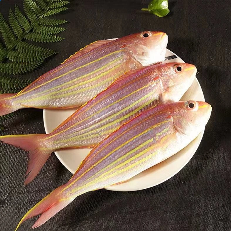 新鲜野生海捕金丝鱼金线鱼茂名博贺港顺丰包邮