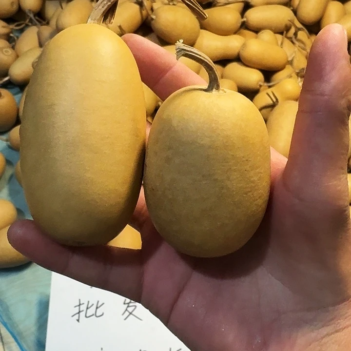 门***行葫芦冬瓜专属链接