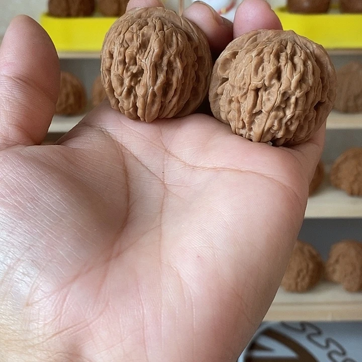 40尺四座楼骨质硬
