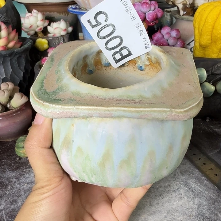 重庆小燕子欢迎大家005