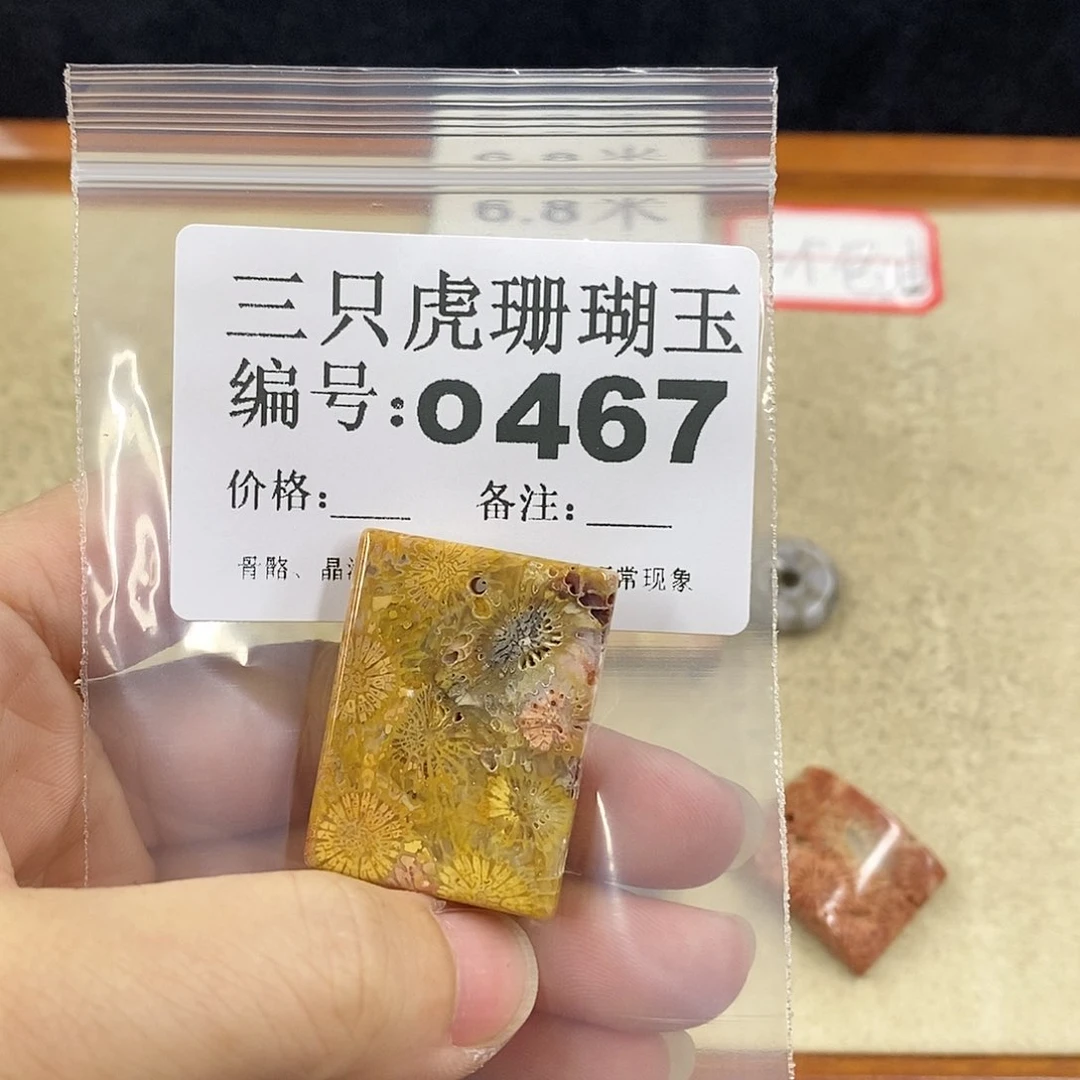 硅化珊瑚（珊瑚玉）1未镶嵌红**梦