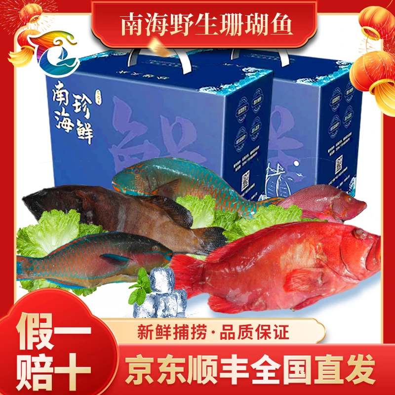 【如鱼得水】七彩鱼甄选礼盒C  海鲜礼盒年货大礼包5斤净含量2500克