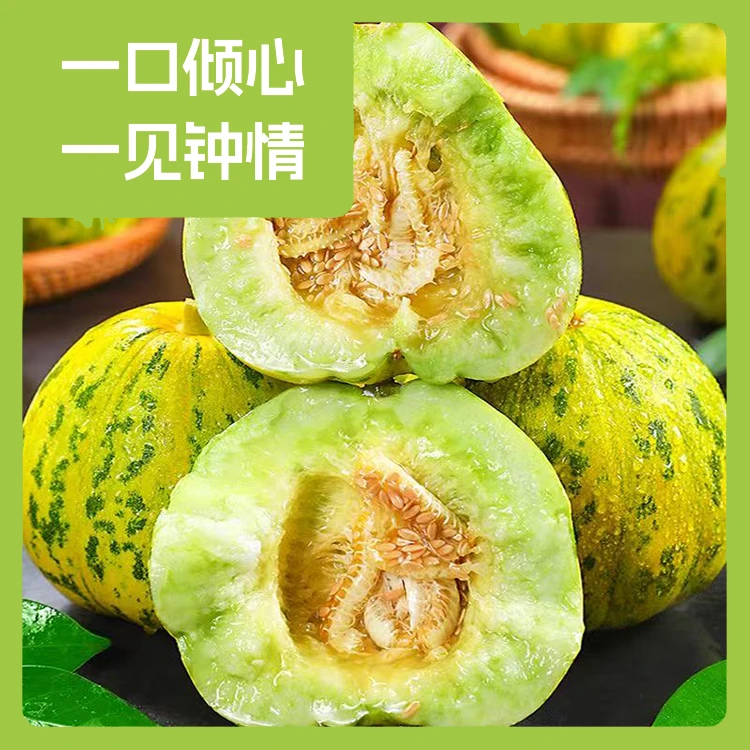山东原产地当季头茬花美人甜瓜脆甜多汁新鲜采摘现摘现发