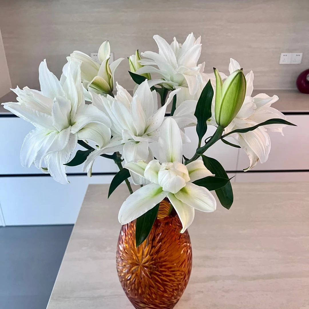 【莲花美人白色重瓣】香水百合鲜花水养鲜切花办公室室内瓶插花