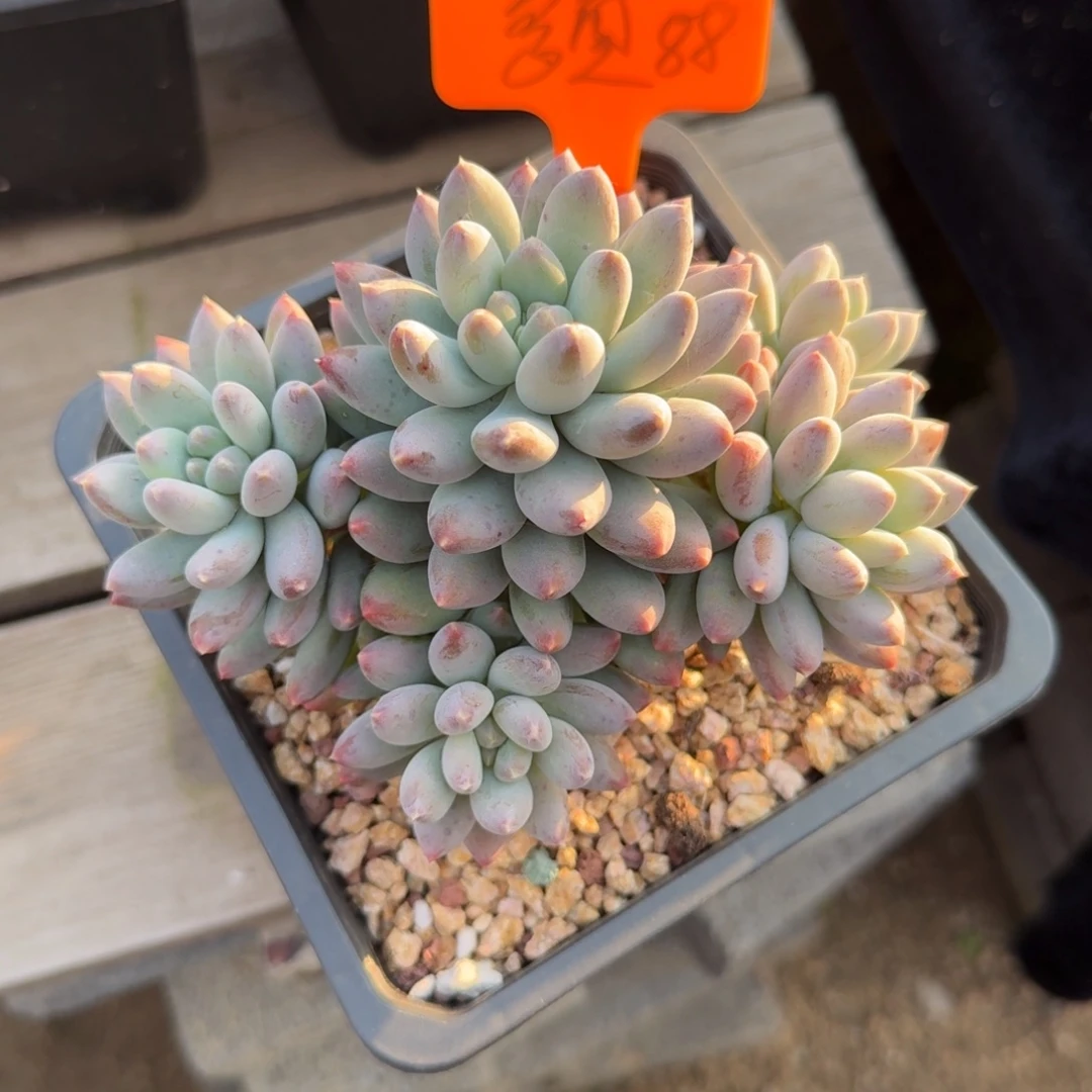 多***喵111111111111111111