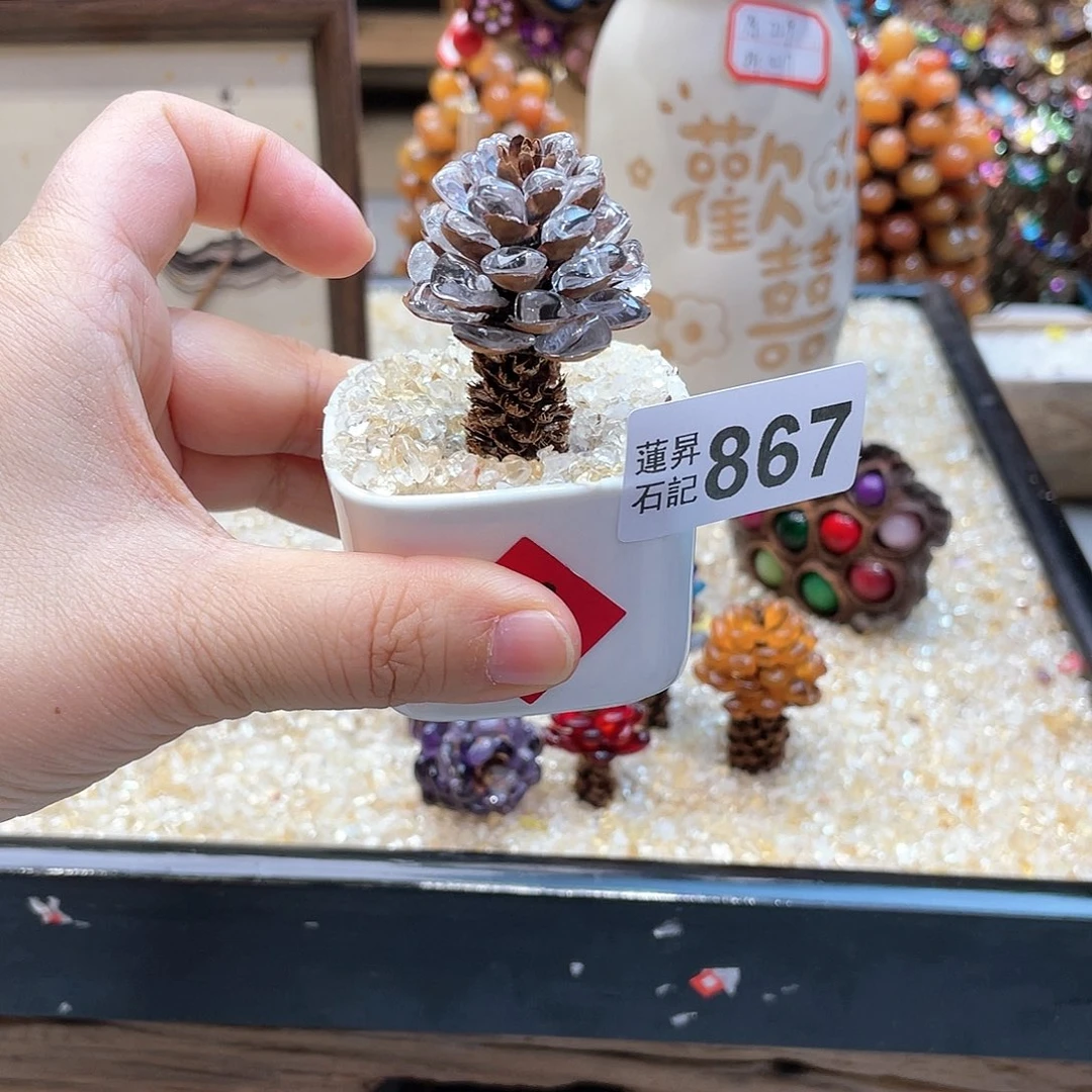 核桃木/黑胡桃（胡桃木）?****?867