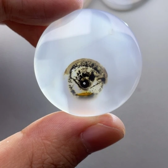玛瑙/玉髓颈饰未镶嵌淘***猫