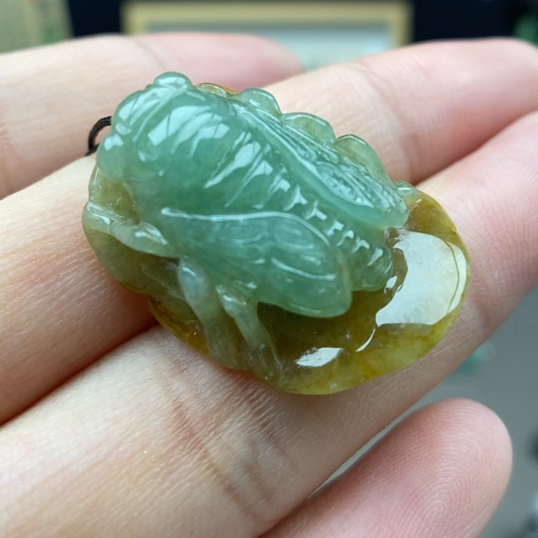 翡翠未镶嵌颈饰吊坠12