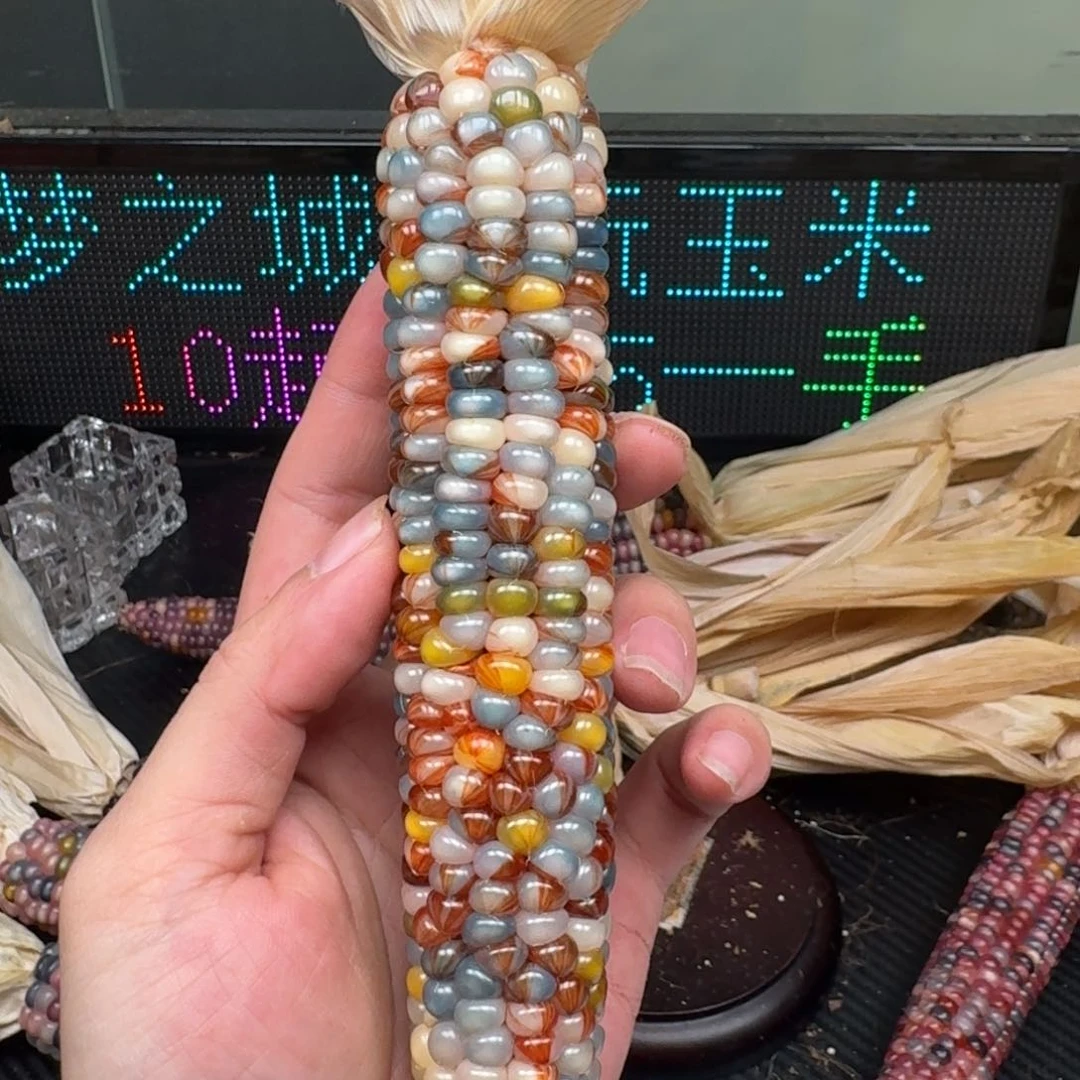 柏香籽/百香籽吊坠坤*祖