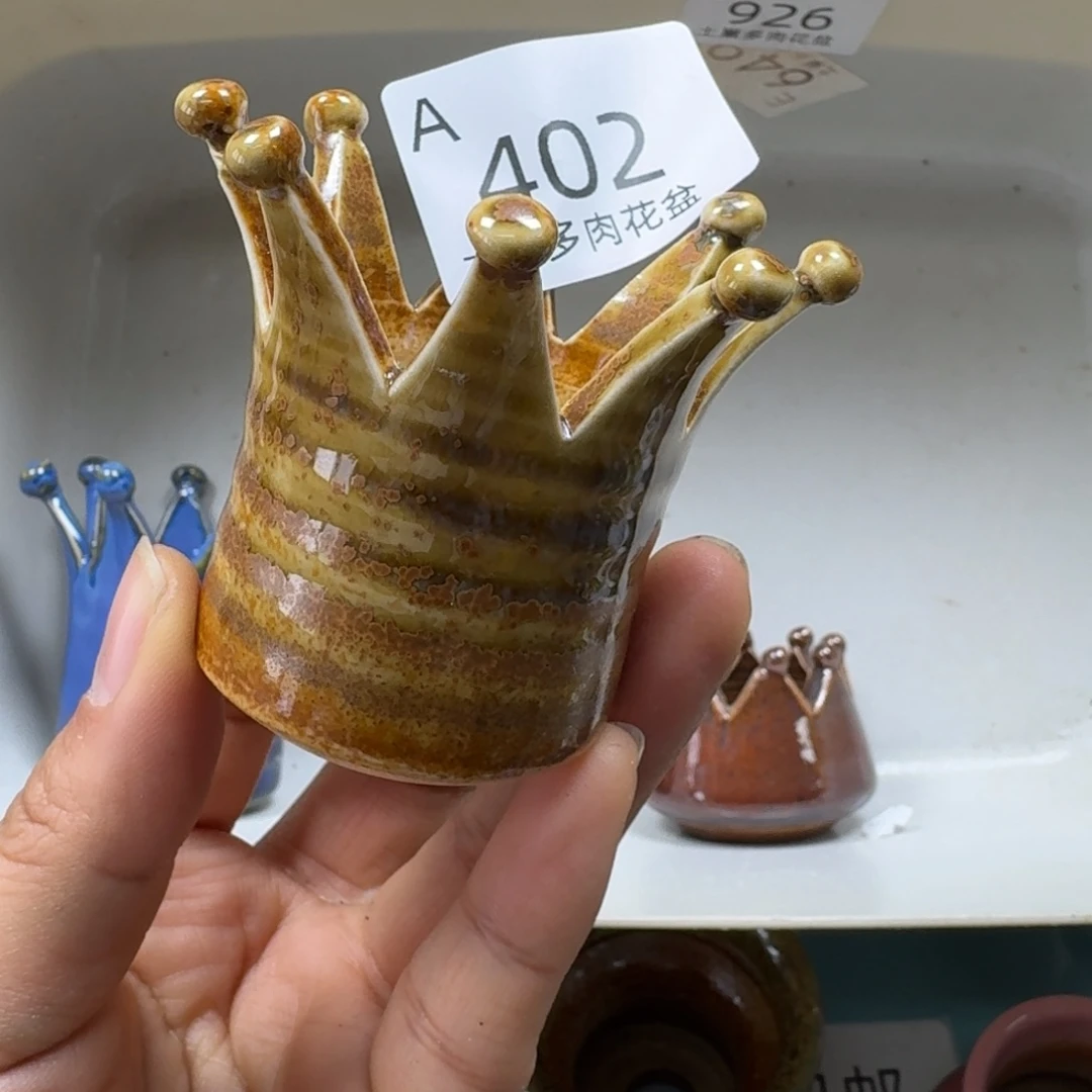 和***族陶瓷艺术品设计与制作