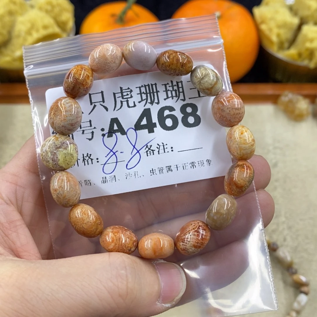 硅化珊瑚（珊瑚玉）1未镶嵌元*