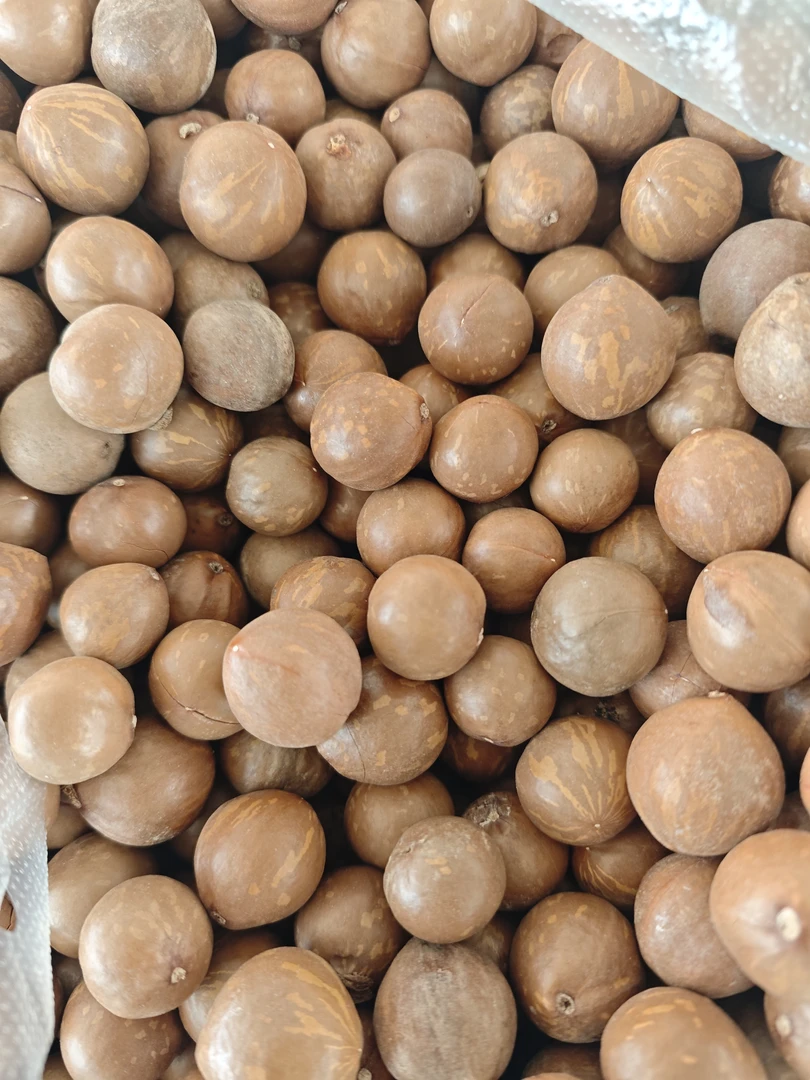 夏威夷果不开口/云南坚果香脆甜