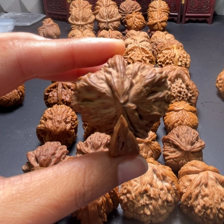 白狮子犀牛角42尺寸单只核桃哈哈哈哈哈