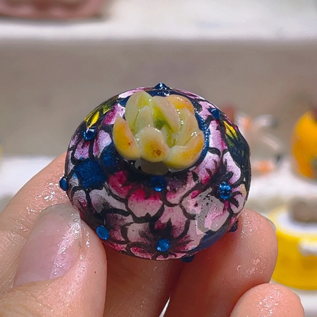 097高端多肉带盆带土手工盆