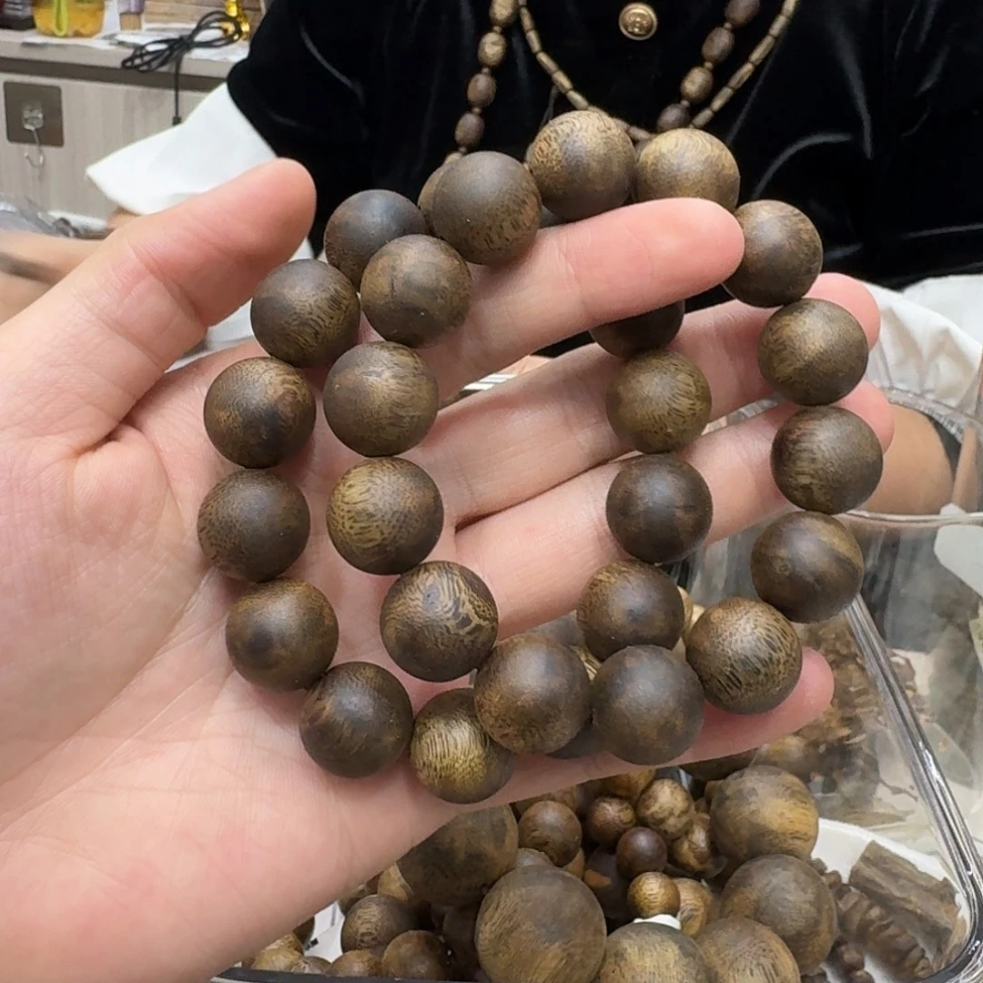 沉香沉香碎屑白棋母树 99 沉 1.6m 多样性发一