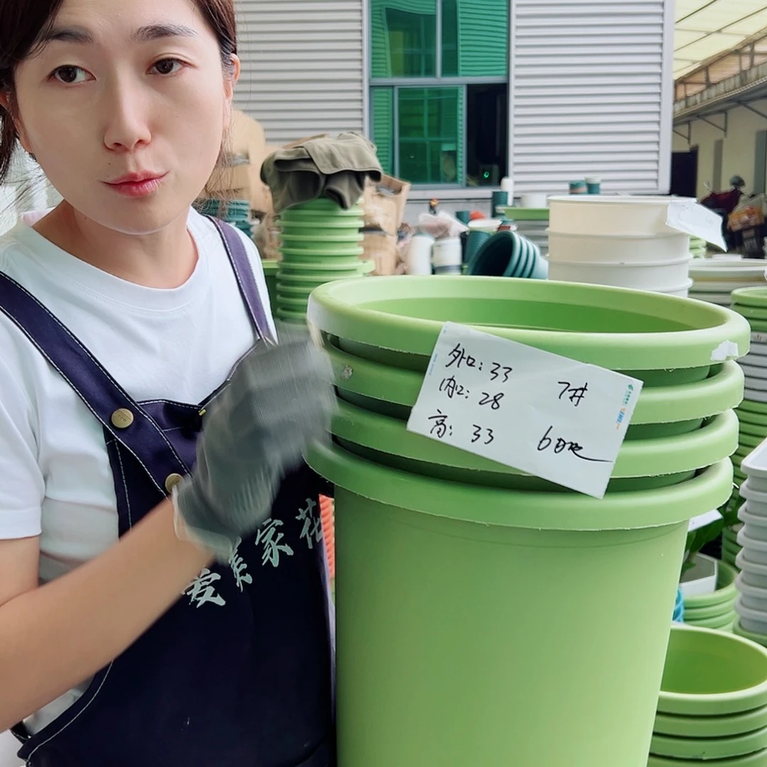 四季盆7#果绿4个无托