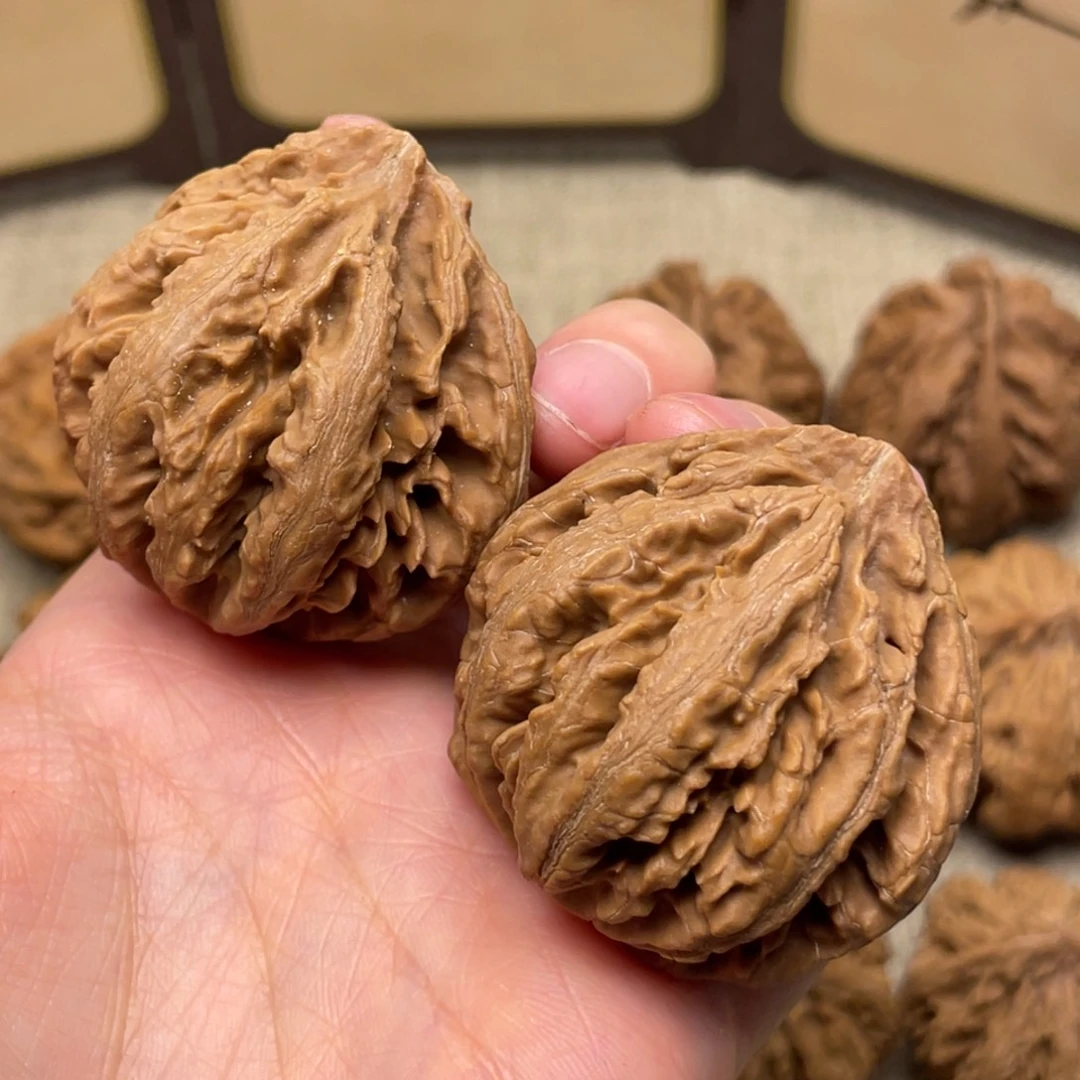 鹰***云核桃秦岭核桃42号