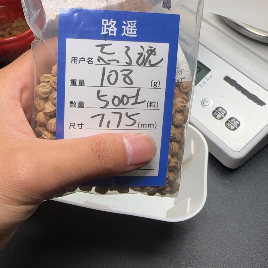 忘***说柏香籽/百香籽吊坠