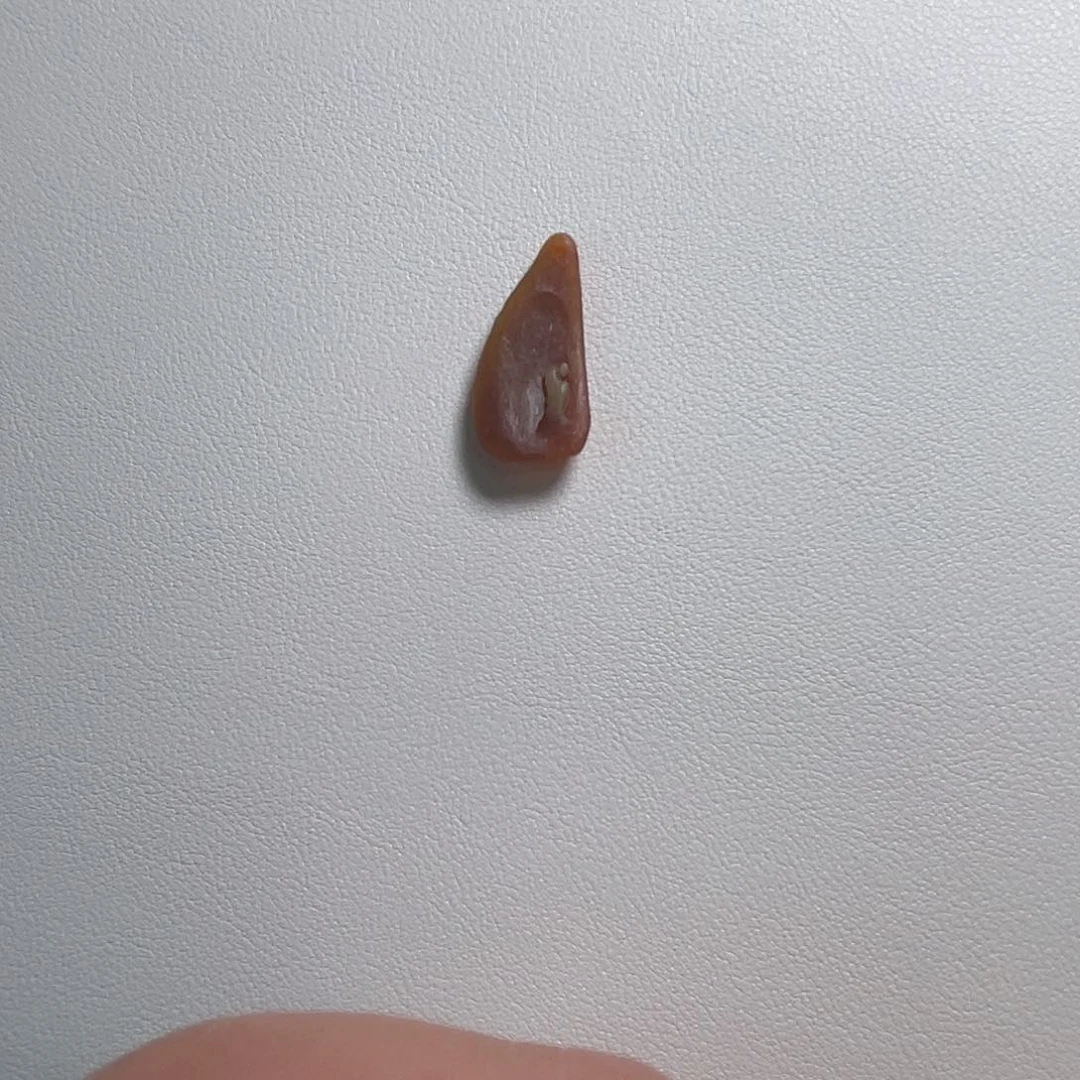 定制翡翠未镶嵌一***！悟道14.2–29.2—4.5