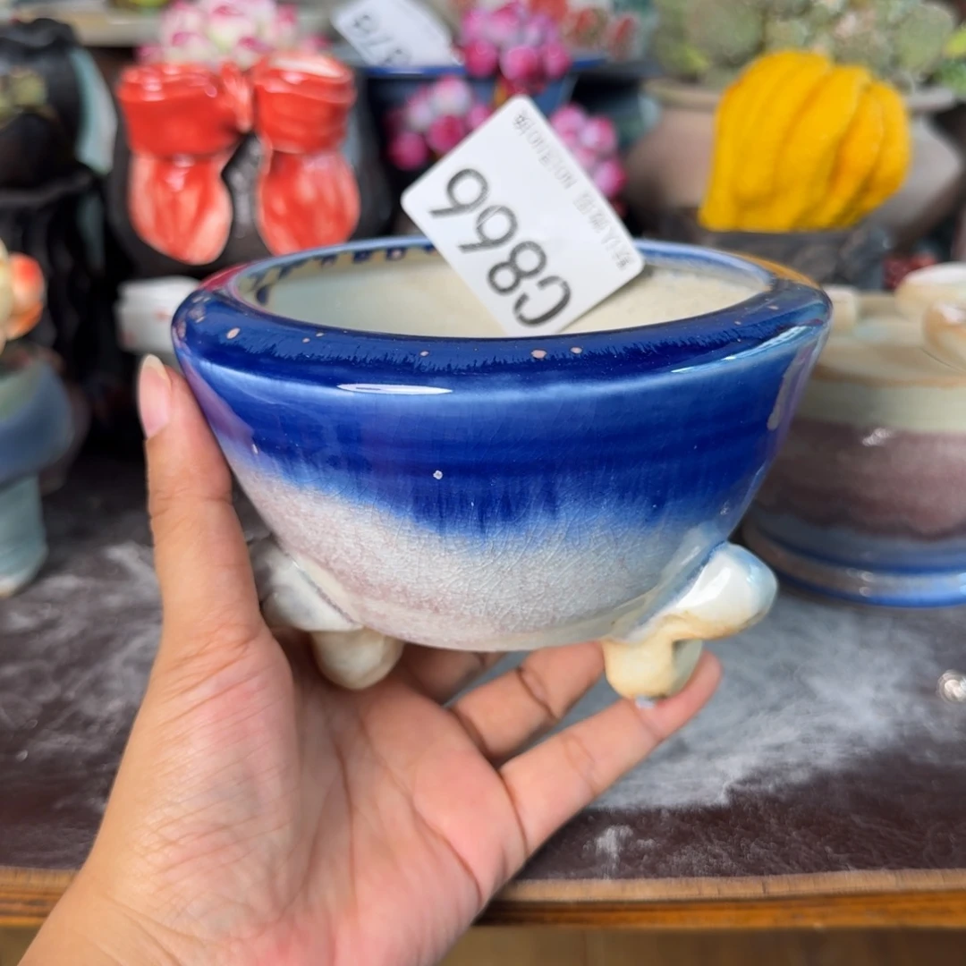 重庆小燕子欢迎大家866