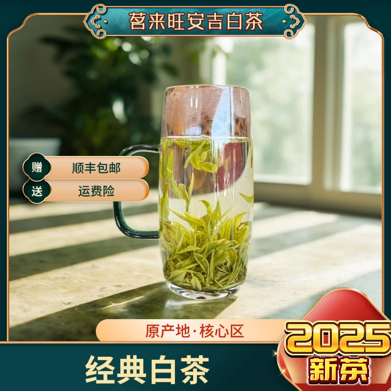 茗来旺【经典白茶】明前小芽2025年春茶溪龙核心产区高山茶清爽柔和