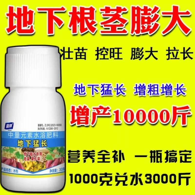 地下猛长地下根茎膨大素土豆莲藕生姜蒜芋头红薯荸荠萝卜等地下茎