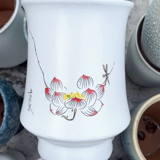 红陶口20高31正品