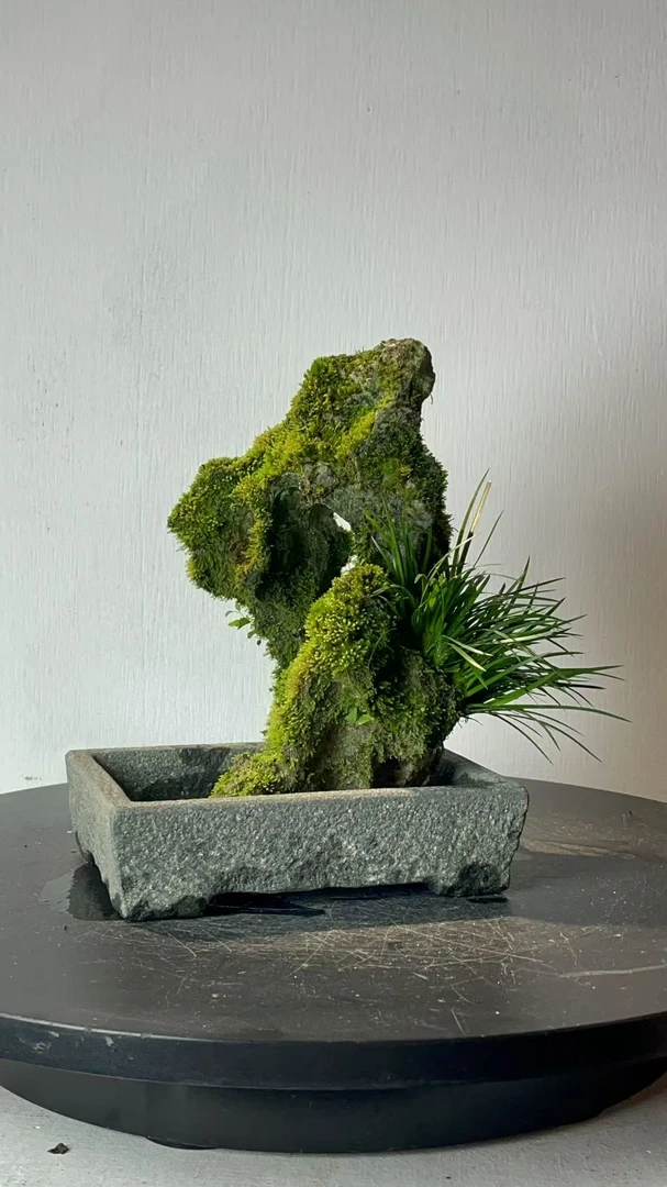 意阔老师原创吴定石纯手工精雕孤品（不带盆）16*11*20