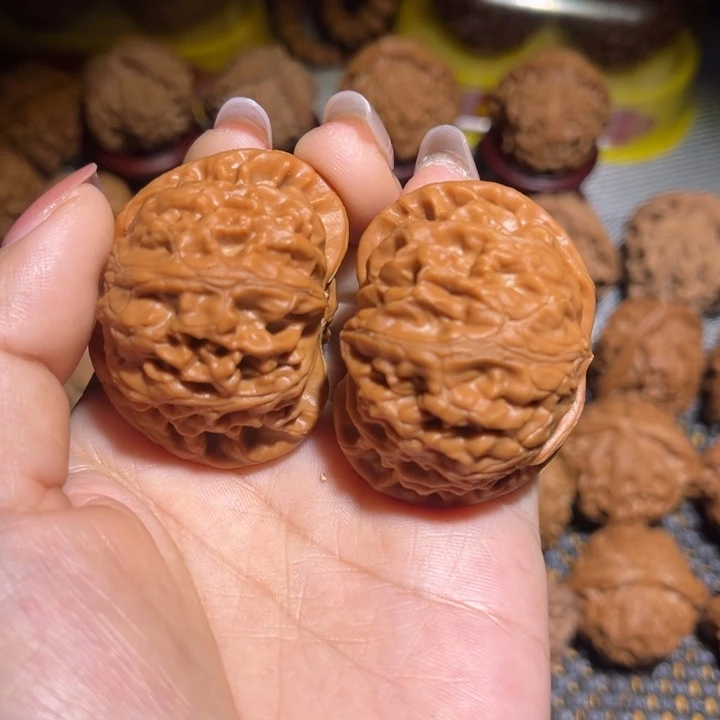 查***制大叶紫檀（黑酸枝木类）